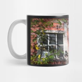 barn window and door Mug